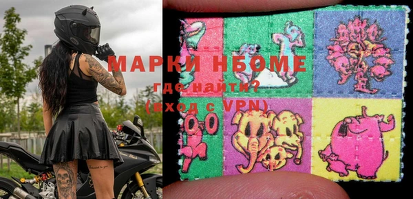 прущие грибы Арсеньев