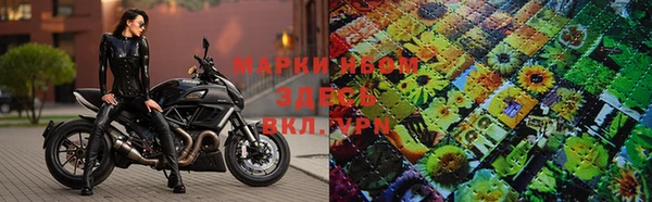 прущие грибы Арсеньев