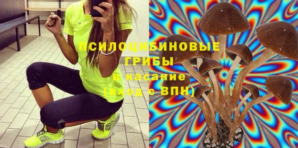 прущие грибы Арсеньев
